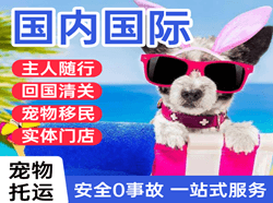 鸡西航空快运国际宠物托运 【国